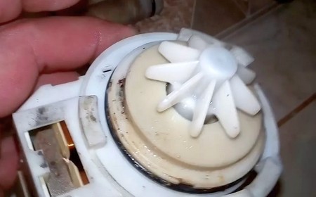 Посудомоечная машина не сливает воду